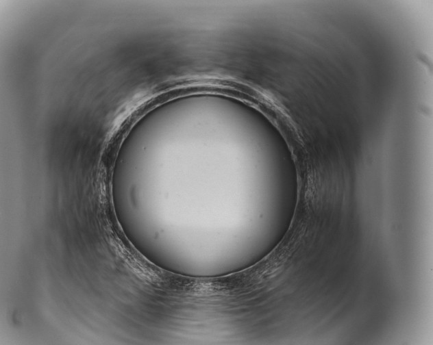 X0000100381360200806201641