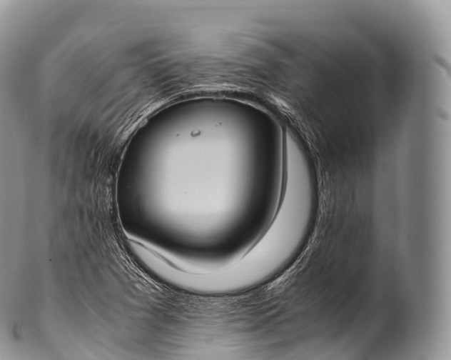 X0000100381361200806201641