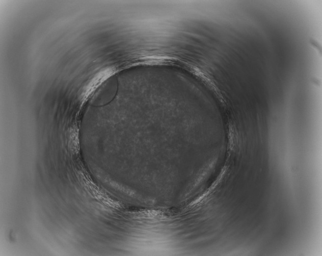 X0000100381362200806201641