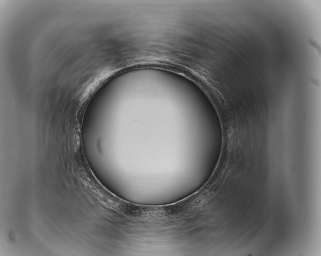 X0000100381363200806201641