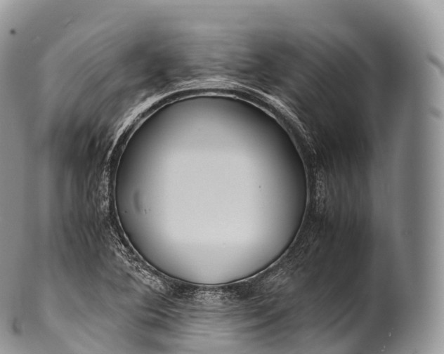 X0000100381364200806201641