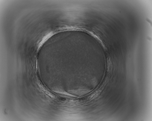 X0000100381365200806201641