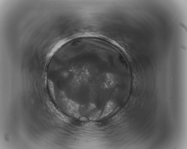 X0000100381367200806201641