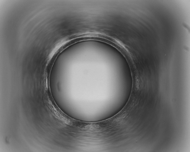 X0000100381368200806201641