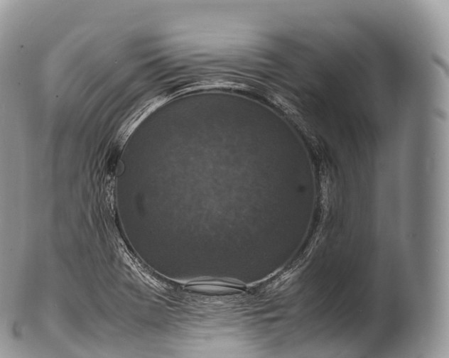 X0000100381369200806201641