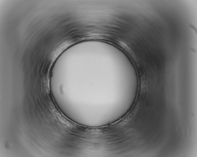 X0000100381370200806201641
