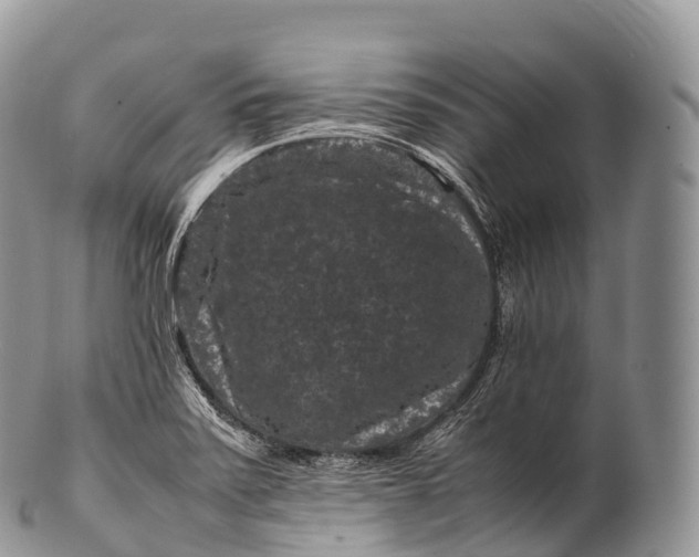 X0000100381371200806201641