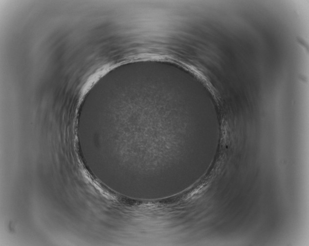 X0000100381373200806201641