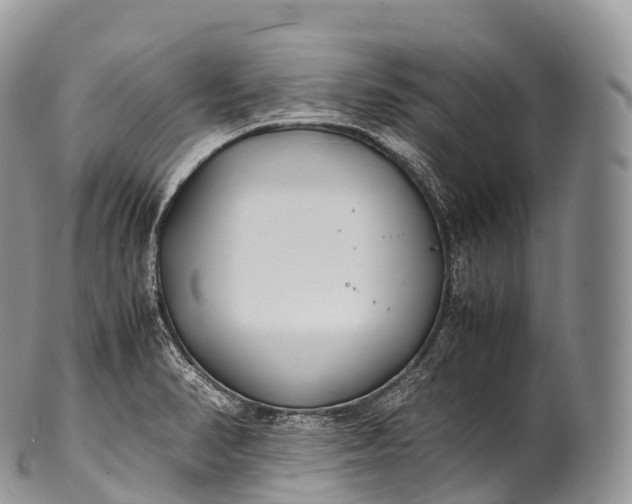 X0000100381374200806201641