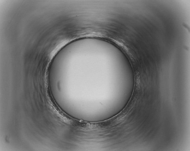 X0000100381375200806201640