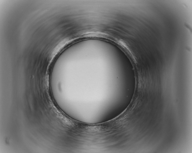 X0000100381376200806201640