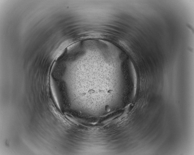 X0000100381378200806201640