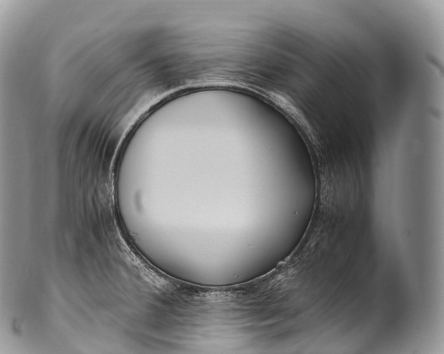 X0000100381380200806201640