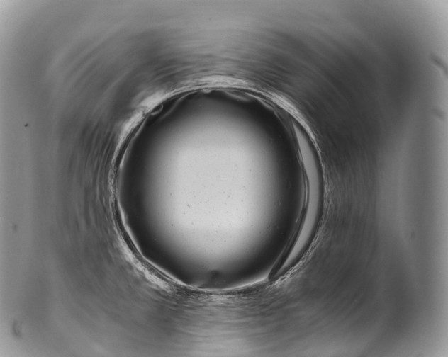 X0000100381381200806201640