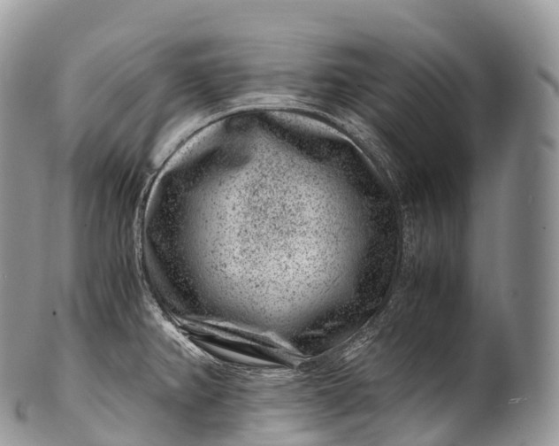 X0000100381382200806201640