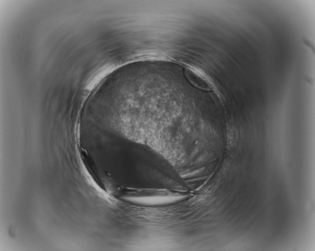 X0000100381383200806201640