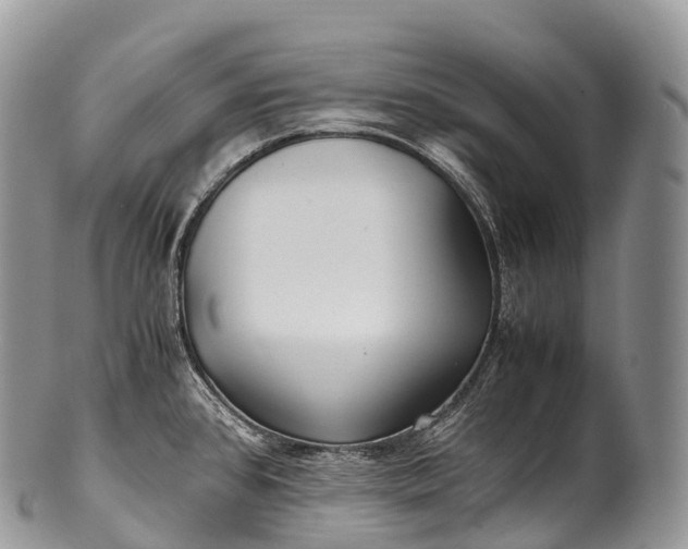 X0000100381384200806201640