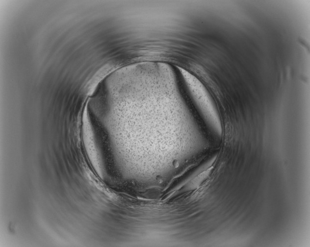 X0000100381386200806201640