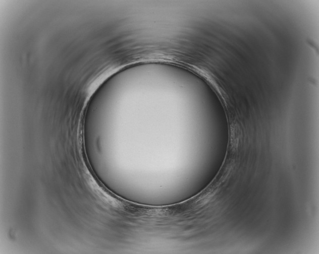 X0000100381387200806201640