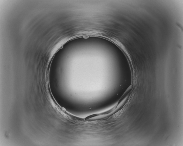 X0000100381389200806201640