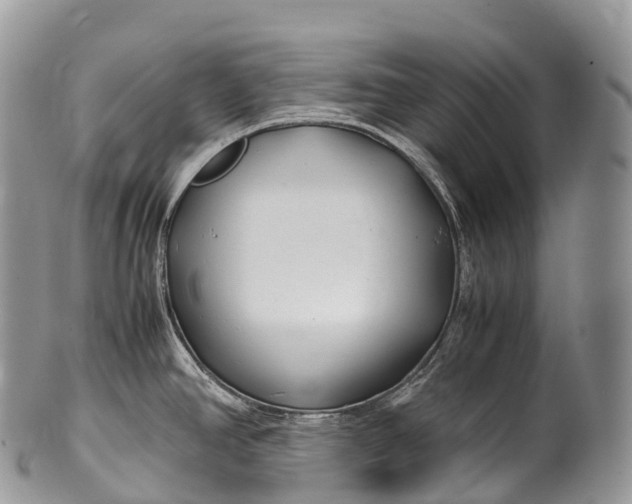 X0000100381390200806201640