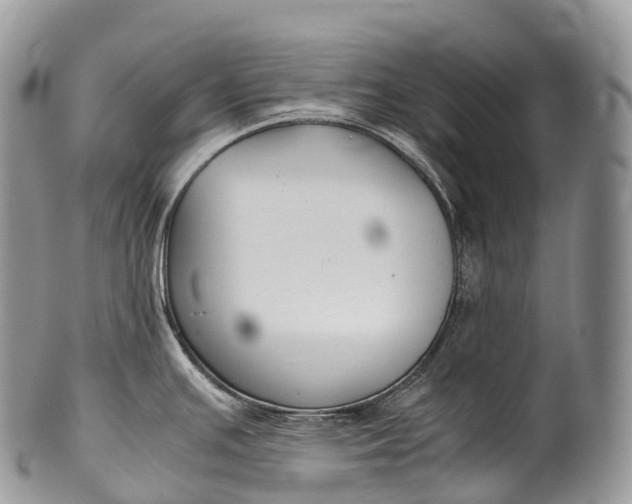 X0000100381391200806201640