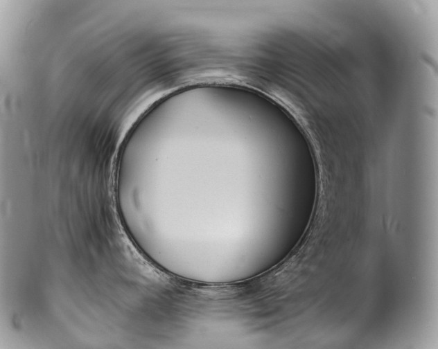 X0000100381392200806201640