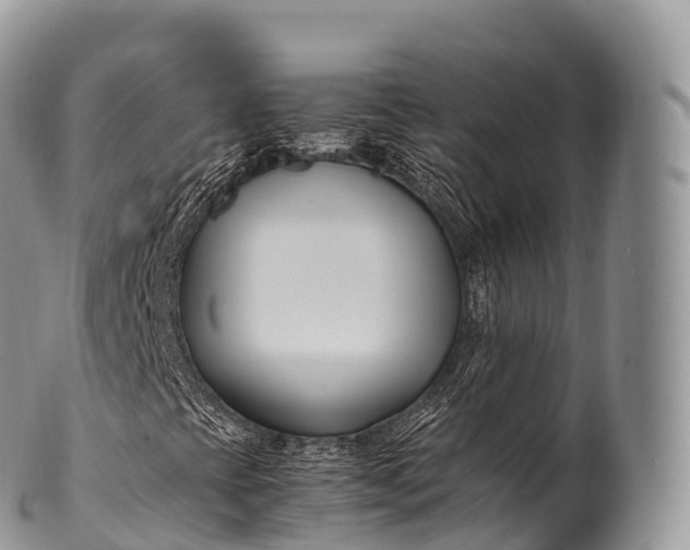 X0000100381393200806201640