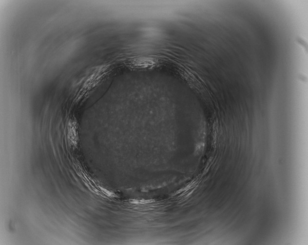X0000100381394200806201640