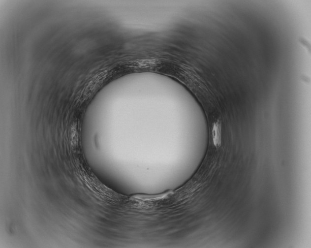 X0000100381395200806201640
