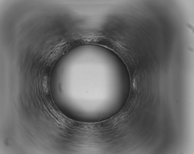 X0000100381396200806201640