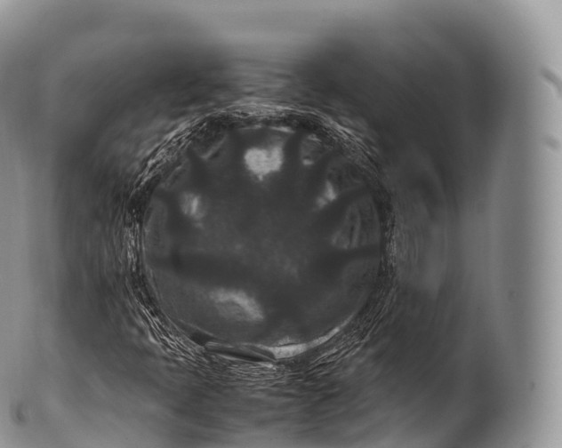 X0000100381397200806201640