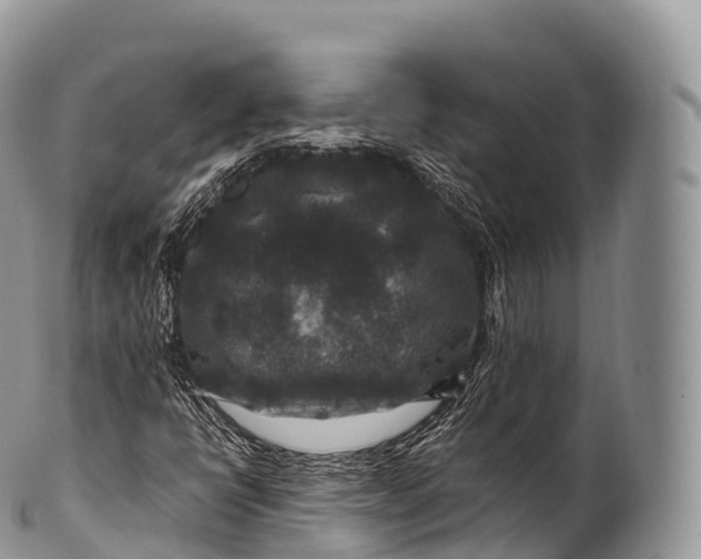 X0000100381398200806201640