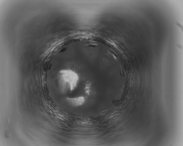 X0000100381399200806201640