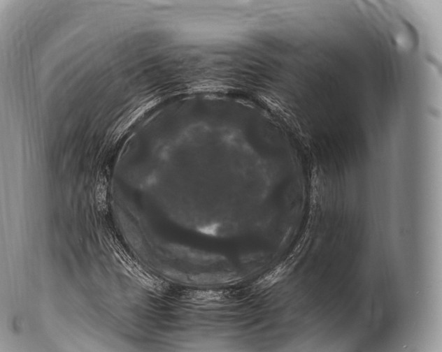 X0000100381401200806201640