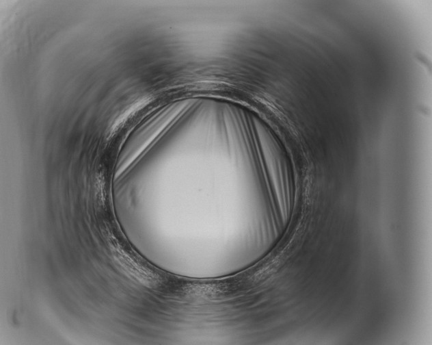 X0000100381402200806201640