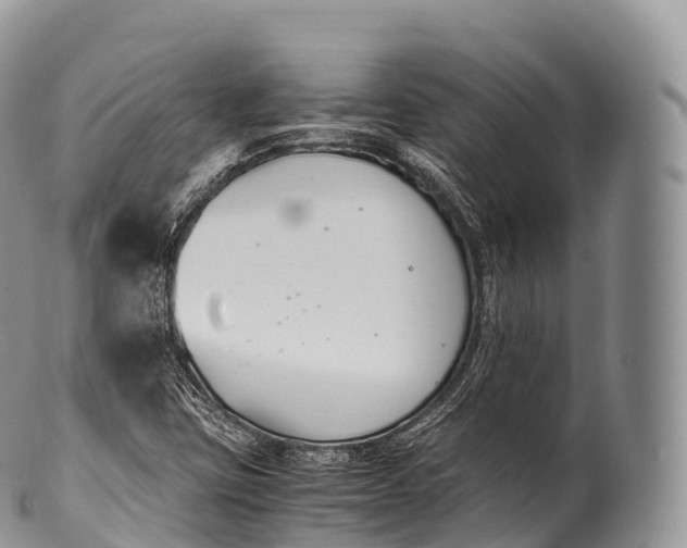 X0000100381403200806201640