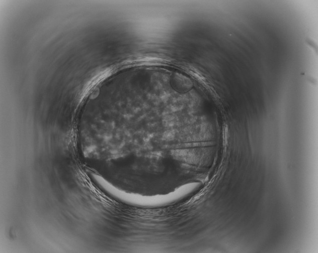 X0000100381405200806201640
