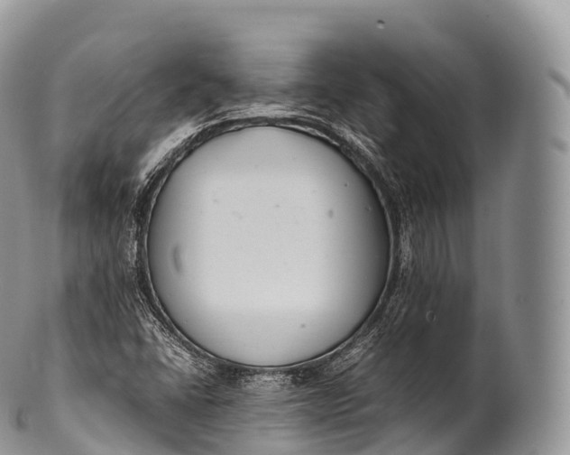 X0000100381406200806201640