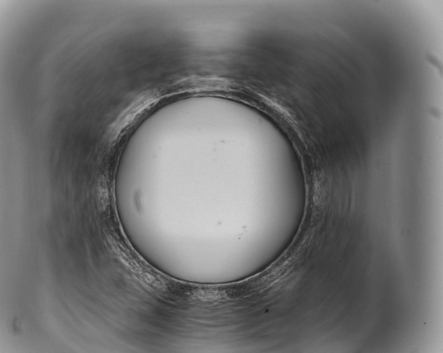X0000100381407200806201640