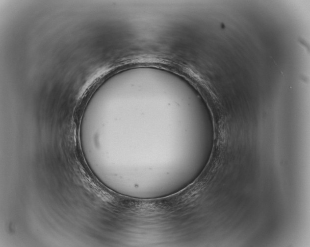 X0000100381408200806201640