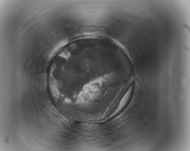 X0000100381411200806201640