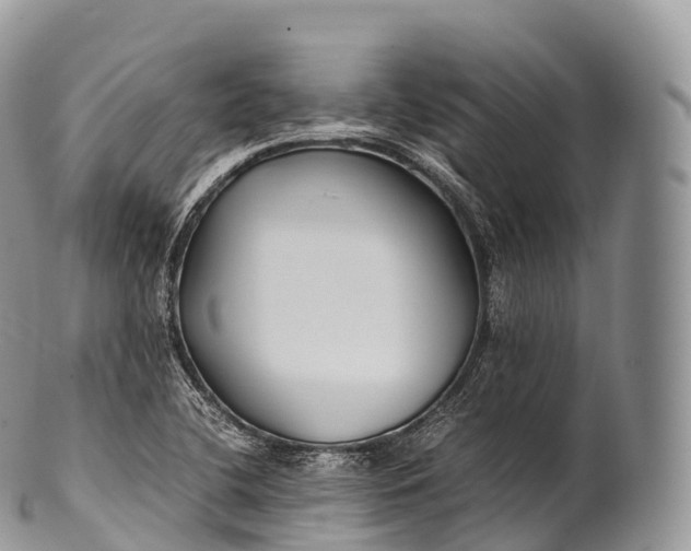 X0000100381412200806201640