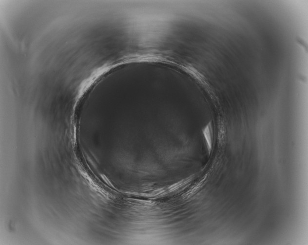 X0000100381414200806201640