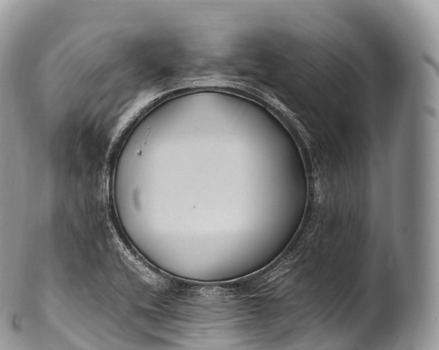 X0000100381416200806201640