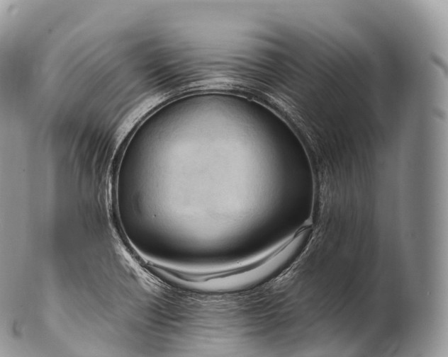 X0000100381418200806201640