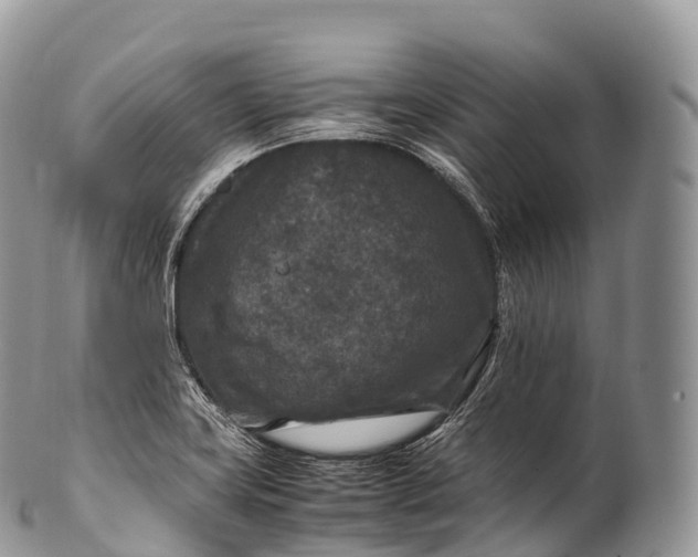 X0000100381419200806201640