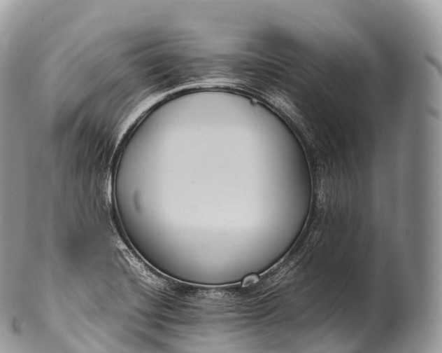 X0000100381420200806201640