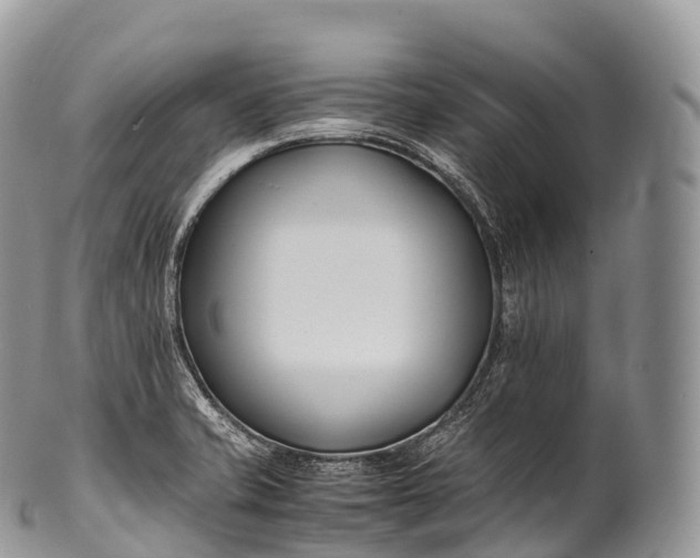 X0000100381421200806201640