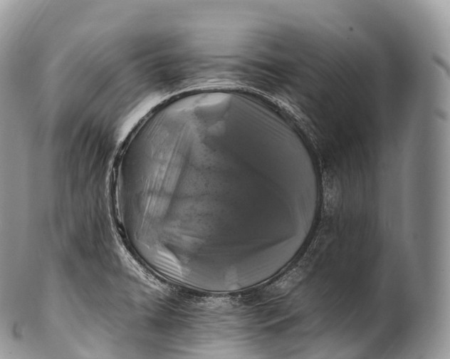 X0000100381422200806201640